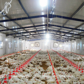 Automatic Chicken House Equipment for Broiler Production